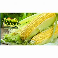 Jual Jagung Bakar Manis Di Malang